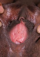 ATK Exotics: Aliya (Aliya in black women)