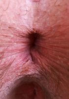 Alice Rebel from ATK Exotics