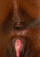 Anne Amari spreads her sweet brown sugar, Amari Anne (ann134) ATK Exotics: Amari Anne (Anne Amari spreads her sweet brown sugar)