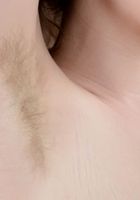 Apricot Pitts in young and hairy, Apricot Pitts (apr024) ATK Natural & Hairy: Apricot Pitts (Apricot Pitts in young and hairy)