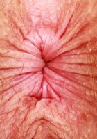Apricot Pitts shows her pits and more, Apricot Pitts (apr024) ATK Natural & Hairy: Apricot Pitts (Apricot Pitts shows her pits and more)