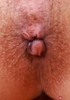 ATK Galleria: Asteria Jade (Asteria Jade Denim Dreams and Spreads)