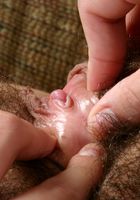 Sexy hairy babe Bailey teases with her hairy pussy, Bailey J (bai003) ATK Archives: Bailey J (Sexy hairy babe Bailey teases with her hairy pussy)