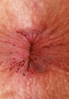 Bella Luna Upskirt Spreads, Bella Luna (bel062) ATK Petites: Bella Luna (Bella Luna Upskirt Spreads)