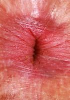 Bella Luna from ATK Natural & Hairy