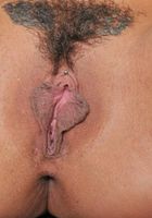 Charlie Chase in upskirts and panties, Charlie Chase (cha073) ATK Exotics: Charlie Chase (Charlie Chase in upskirts and panties)