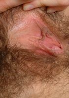 Cherry shows off her sexy hairy pits and bush, Cherry (che027) ATK Archives: Cherry (Cherry shows off her sexy hairy pits and bush)