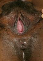 Coco in thick women, Coco (coc005) ATK Exotics: Coco (Coco in thick women)