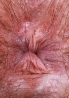 Annabelle Lee from ATK Petites