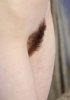 Destiny strips down and spreads her hot bush, Destiny (des035) ATK Archives: Destiny (Destiny strips down and spreads her hot bush)