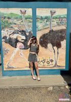 Dez Hansen from ATK Galleria