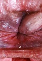 ATK Natural & Hairy: Dria Submits (Dria Submits Spreads Bush and Tinkles)