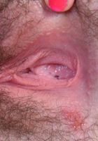 Emma spreads and gapes her sweet hairy pie., Emma Evins (emm030) ATK Natural & Hairy: Emma Evins (Emma spreads and gapes her sweet hairy pie.)
