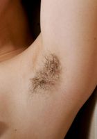 ATK Exotics: Frankie (Frankie goes to give you wood)