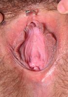 Harley Hex in scary hairy, Harley Hex (har015) ATK Natural & Hairy: Harley Hex (Harley Hex in scary hairy)