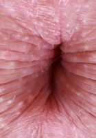 ATK Galleria: Harlow West (Sexy redhead Harlow West has such a tight little butthole)