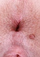 ATK Galleria: Harlow West (Harlow West Tight Shorts Foot Fetish Pussy Spreading)