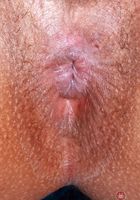 ATK Exotics: Isabella Jules (Isabella Jules Tank Top Tease)