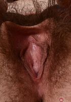 Ivy Addams in young and hairy, Ivy Addams (ivy021) ATK Natural & Hairy: Ivy Addams (Ivy Addams in young and hairy)