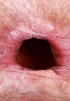 ATK Natural & Hairy: Jackie Hoff (Jackie Hoff is sexy and sweet)