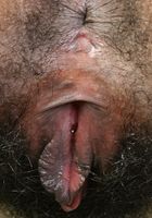 Jada loves to get naked and rub her hairy pussy, Jada (jad016) ATK Exotics: Jada (Jada loves to get naked and rub her hairy pussy)