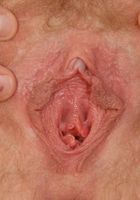 Jane from ATK Archives