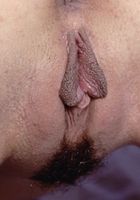 Jesse in upskirts and panties, Jesse (jes016) ATK Petites: Jesse (Jesse in upskirts and panties)
