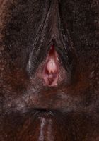 Kahlista Stonem in exotic and hairy, Kahlista Stonem (kah002) ATK Natural & Hairy: Kahlista Stonem (Kahlista Stonem in exotic and hairy)