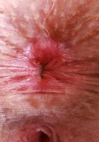 ATK Galleria: Krystal Palmer (Krystal Palmer Short Skirt Strip and Spread)