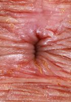 ATK Exotics: Leila Mills (Leila Mills poses in some sexy lingerie)