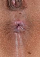 Lilly Evans in latinas, Lilly Evans (lil051) ATK Exotics: Lilly Evans (Lilly Evans in latinas)