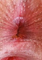 ATK Galleria: Maisey Monroe (Sexy black lingerie on Maisey Monroe)