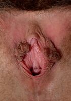 Nickey Huntsman in foot job, Nickey Huntsman (nic093) ATK Natural & Hairy: Nickey Huntsman (Nickey Huntsman in foot job)