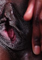 Black model Nikki plays with her pussy, Nikki (nik105) ATK Exotics: Nikki (Black model Nikki plays with her pussy)