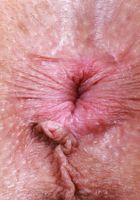 Ophelia Fae from ATK Galleria