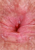 Pearl Sage from ATK Natural & Hairy