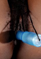 Phylisha from ATK Exotics