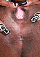 ATK Exotics: Poppy Cox (Poppy Cox Holiday Cheer and Spreading)