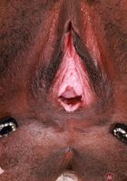 ATK Exotics: Poppy Cox (Poppy Cox Black Stockings Pink Pussy Spreads)