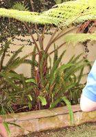 Reena Sky in behind the scenes, Reena Sky (ree005) ATK Petites: Reena Sky (Reena Sky in behind the scenes)