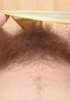 Rogue from ATK Natural & Hairy