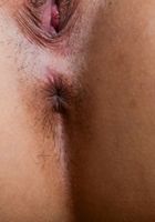 Sadie Pop from ATK Exotics