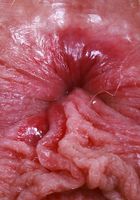 ATK Natural & Hairy: Sahara Skye (Sahara Skye Foot Fetish Pussy Spreading)