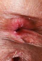 Salee Lee Tight Asian Shaved Pussy Spreads, Salee Lee (sal024) ATK Petites: Salee Lee (Salee Lee Tight Asian Shaved Pussy Spreads)