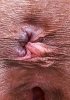 ATK Petites: Salee Lee (Salee Lee Exotic Lingerie and Spreading)