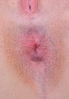 Samantha goes buns up and spreads., Samantha Hayes (sam080) ATK Petites: Samantha Hayes (Samantha goes buns up and spreads.)
