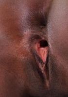 Sunyane from ATK Exotics