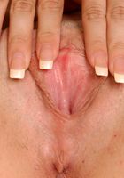 Tabby in latinas, Tabby (tab002) ATK Exotics: Tabby (Tabby in latinas)