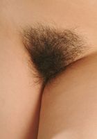 ATK Exotics: Tiffany (Tiffany in asians)