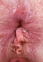 Venus Vixen Spreads Up Close, Venus Vixen (ven021) ATK Petites: Venus Vixen (Venus Vixen Spreads Up Close)